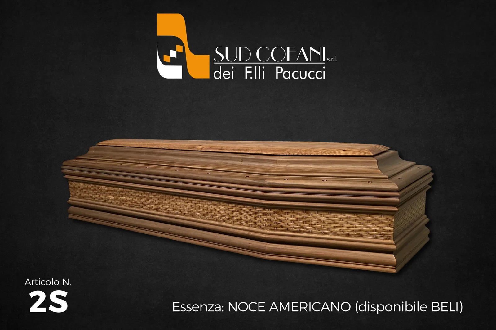 Articolo 45_2S